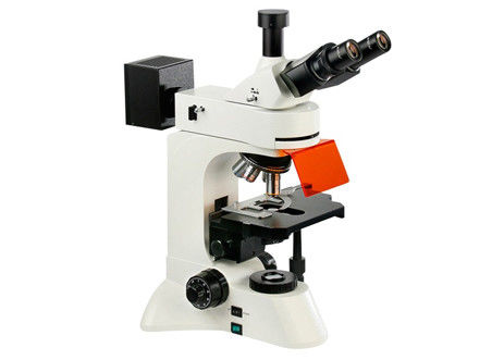 WF10X/22mm a mené 4X inversé par microscope fluorescent 10X 360 degrés