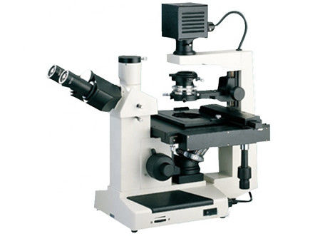 lampe d'halogène de Trinocular 10X/0.2 6V 20W de microscope inversé de la culture cellulaire 40X/0.6