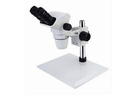 Microscope stéréo de bourdonnement de forme carrée WF10X/22mm binoculaire sans illumination