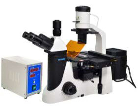 Microscope fluorescent de laboratoire de biologie de Trinocular 40X 1000X de microscope d'Epi LED