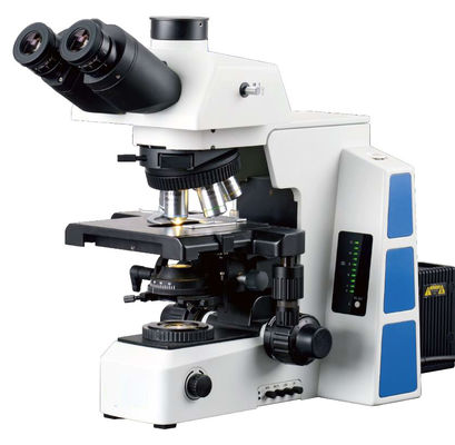 Microscope biologique Para Celular 180 x 155mm de laboratoire médical de Trinocular blanc
