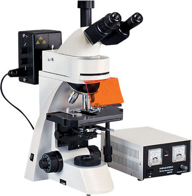 Microscope de contraste de phase du microscope de fluorescence de Trinocular Epi 1600X WF10X 22mm