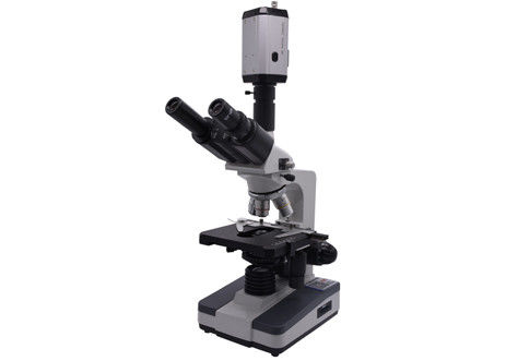 Biologique visuel du CCD 40X 0,65 Live Blood Analysis Microscope Digital de WF10X