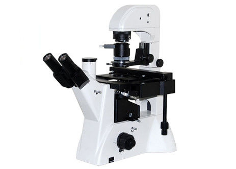 Qualité WF10X/22mm 5W LED de microscope de laboratoire de la Science de Trinocular DIC