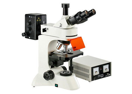 L'infini Epi de caméra a mené la recherche fluorescente de la génétique d'oculaire du microscope WF10X