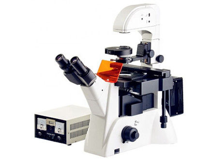 Microscope inversé Edu Science Microscope 1200x 20X de laboratoire de biologie de fluorescence
