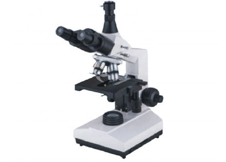 Trinocular WF10X 1600X a inversé la lampe 6V 20W d'halogène de composé de microscope biologique