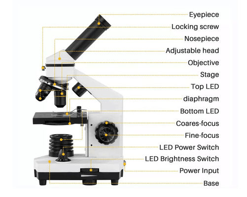 ODM monoculaire de Biological Microscope 640X d'étudiant de Drawtube