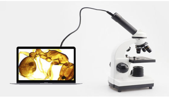 ODM monoculaire de Biological Microscope 640X d'étudiant de Drawtube