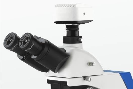 Position de polarisation intégrée du microscope biologique 4 de laboratoire de champ foncé