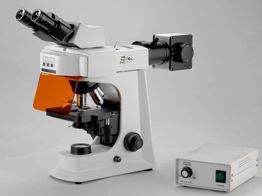 Microscope biologique de laboratoire blanc de Trinocular avec l'étape mécanique
