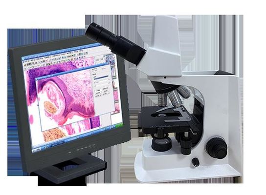 Microscope biologique de laboratoire blanc de Trinocular avec l'étape mécanique
