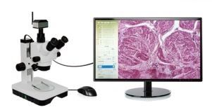 Appareil photo numérique de microscope de transfert de 60FPS WiFi 4 groupes d'affichage de réticule