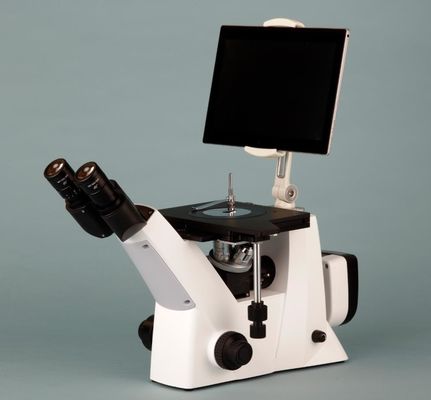 Champ lumineux inversé métallurgique de Combinated du microscope 50X-1000X optique