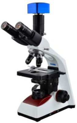 Microscope biologique Trinocular WF10X 18mm du laboratoire 40X-1000X pour l'évolution