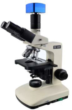 microscope métallurgique optique Trinocular de 10X 20X pour l'usage lumineux de champ
