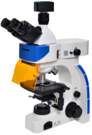 Microscope de fluorescence du microscope 40X 100X Epi de laboratoire de biologie de Trinocular