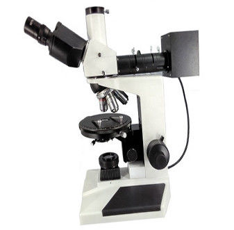 200X de polarisation 400X a reflété le photomicroscope transmis autour de l'étape tournante