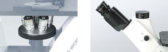 40X-400X a inversé le microscope optique WF10X 22mm pour l'observation et la culture de cellules
