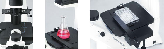 40X-400X a inversé le microscope optique WF10X 22mm pour l'observation et la culture de cellules