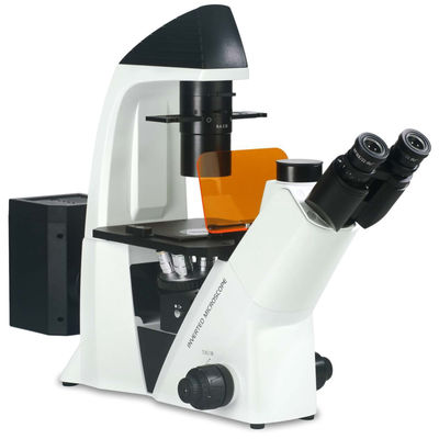 40X-400X a inversé le microscope optique WF10X 22mm pour l'observation et la culture de cellules