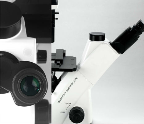 40X-400X a inversé le microscope optique WF10X 22mm pour l'observation et la culture de cellules